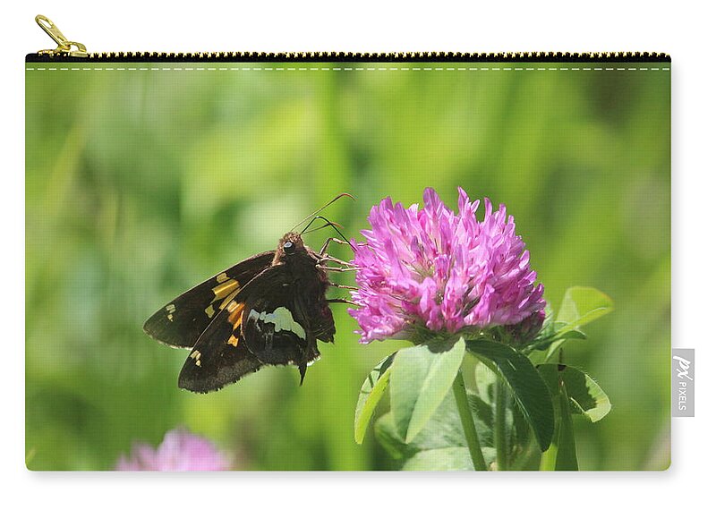 Silver-spotted Skipper Zip Pouch featuring the photograph Silver-spotted Skipper on Pink Clover by Callen Harty