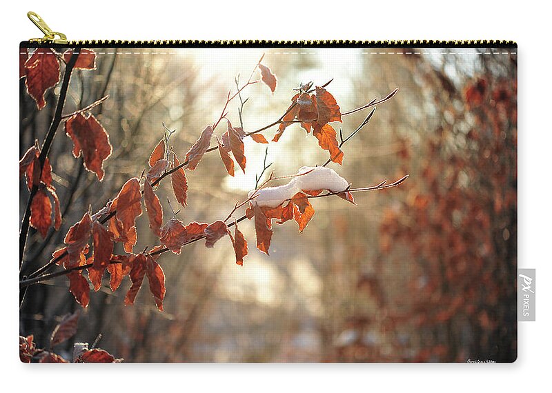 Beech Zip Pouch featuring the photograph Simply Amazing by Randi Grace Nilsberg