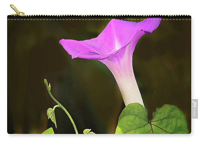 Morning Glory Zip Pouch featuring the photograph Simply Morning Glory by Don Durfee