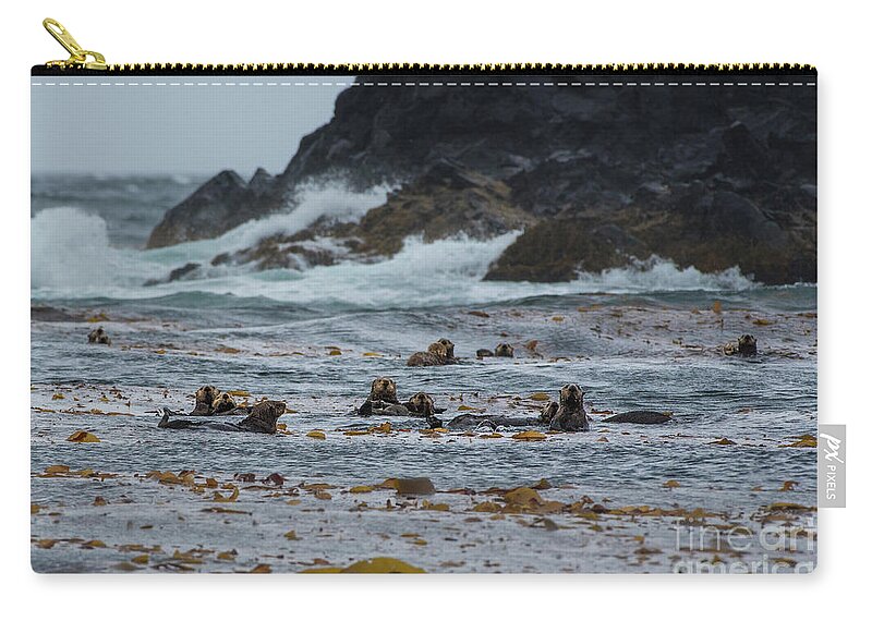 Animal Zip Pouch featuring the photograph Sitka Sea Otter Family by Nancy Gleason
