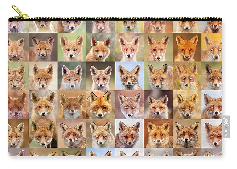 Fox Face Zip Pouch featuring the photograph Sixty Four Foxy Faces - Portraits of red foxes by Roeselien Raimond