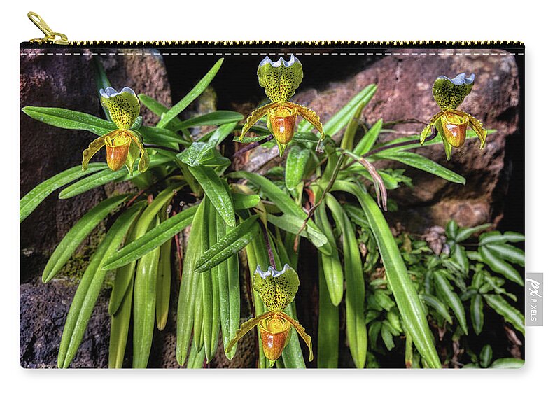 Slipper Zip Pouch featuring the photograph Slipper Orchids by Micah Offman