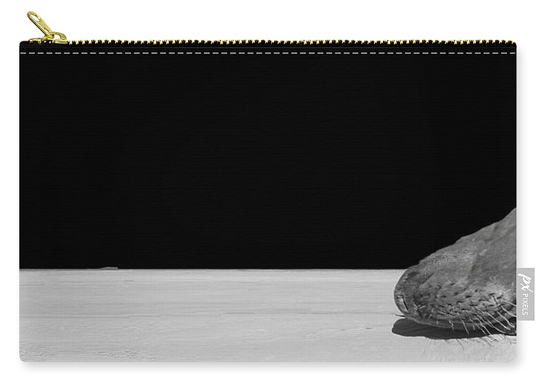 Seal Zip Pouch featuring the photograph Slow Crawl by Jim Signorelli