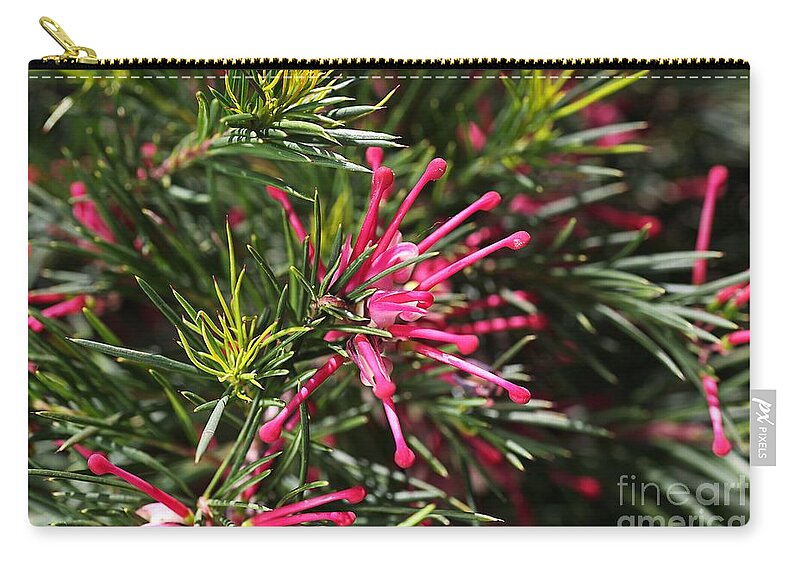 Flower Zip Pouch featuring the photograph Small Pink Grevellea Flower Australian Native by Joy Watson