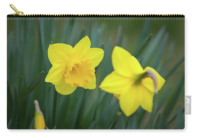 Art Carry-all Pouch featuring the photograph Small Talk and Daffodils by Rocco Leone