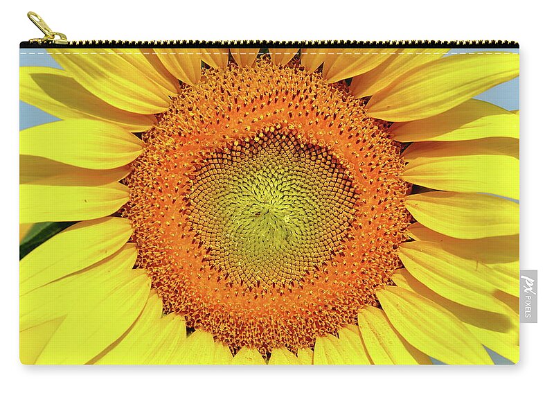Sunflower Zip Pouch featuring the photograph Smile by Lens Art Photography By Larry Trager