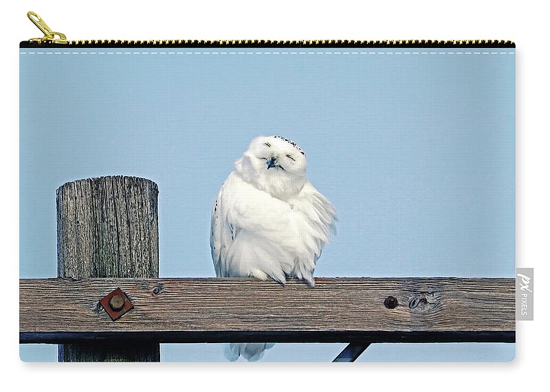 Snowy Owl Zip Pouch featuring the photograph Smile With Your Face To The Sun by Debbie Oppermann