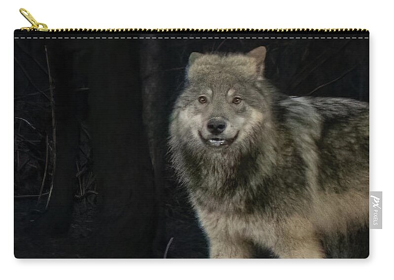Wolf Zip Pouch featuring the photograph Smiley the Friendliest Lassen Pack Wolf by Randy Robbins