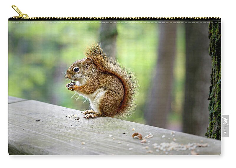 Wisconsin Zip Pouch featuring the photograph Snacking by Jayme Spoolstra