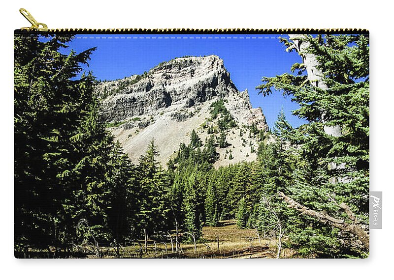 Mountain Zip Pouch featuring the photograph Snag Tree by Craig A Walker