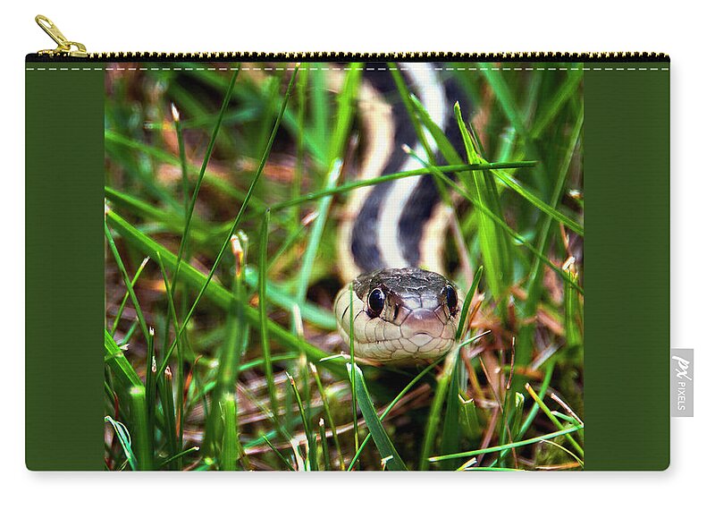 Snake Zip Pouch featuring the photograph Snake in the Grass by Phil Cardamone