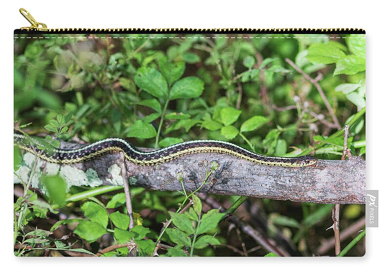 Reptile Zip Pouch featuring the photograph Snake on a Log by Amelia Pearn