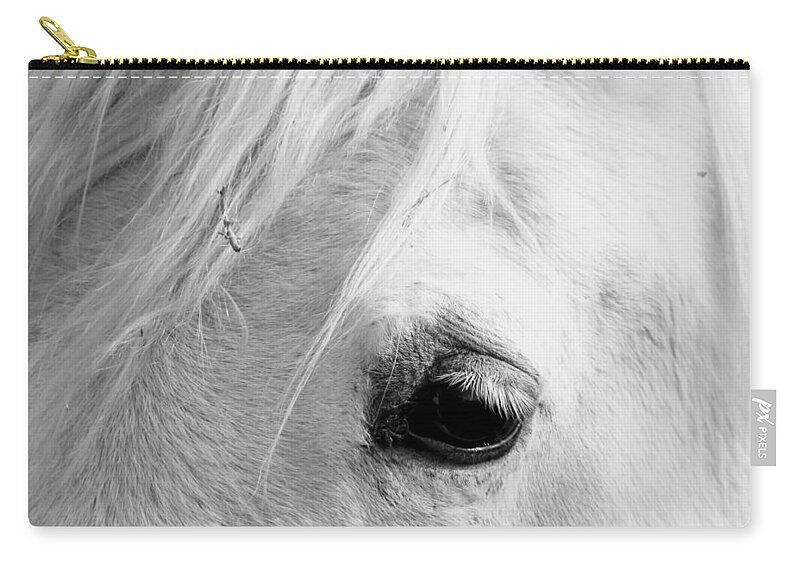 Horse Zip Pouch featuring the photograph Snoopy's Eye by Amanda R Wright