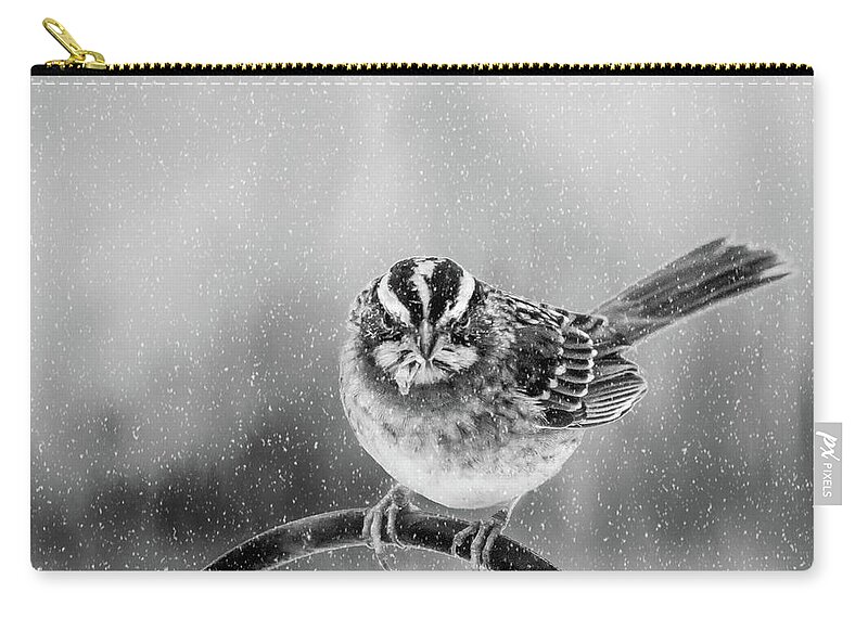 Bird Carry-all Pouch featuring the photograph Snow Again by Cathy Kovarik