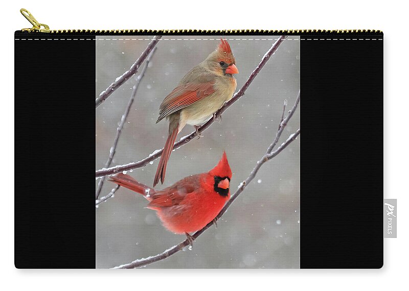 Snow Zip Pouch featuring the photograph Snow Day by Mindy Musick King