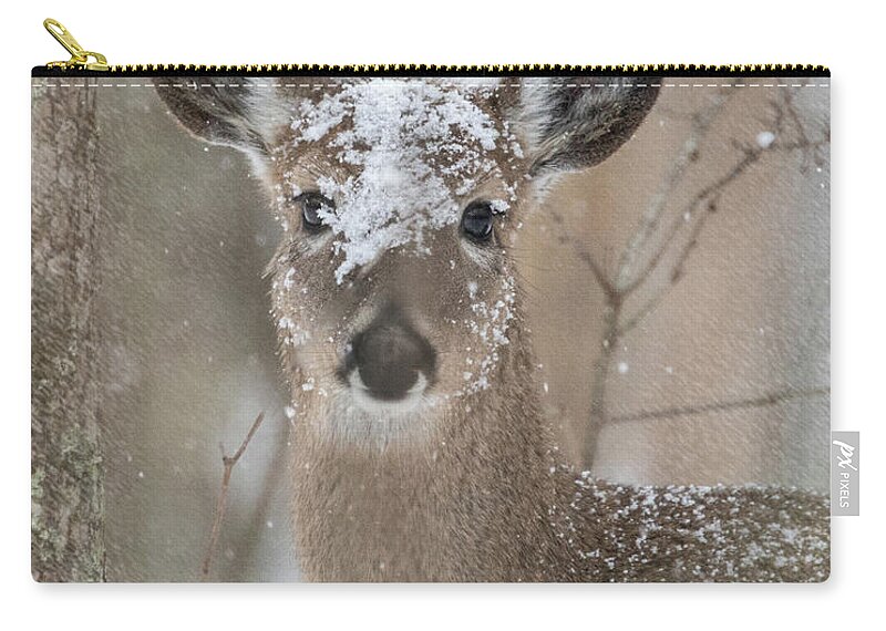 Whitetail Deer Zip Pouch featuring the photograph Snow Deer by Jaki Miller