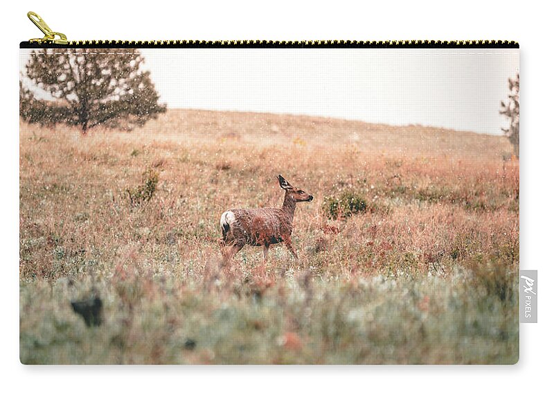  Zip Pouch featuring the photograph Snow Doe by William Boggs