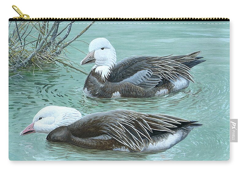 Snow Goose Zip Pouch featuring the painting Snow Geese, Blue Morph by Barry Kent MacKay