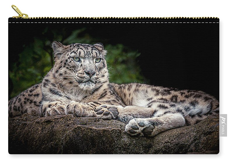 Animal Carry-all Pouch featuring the photograph Snow Leopard on the rocks by Chris Boulton