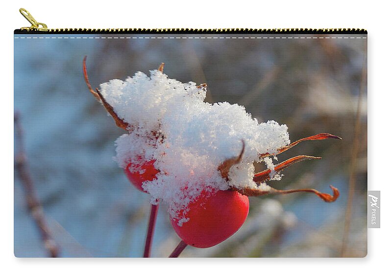 Rose Hips Carry-all Pouch featuring the photograph Snow On Rose Hips by Karen Rispin