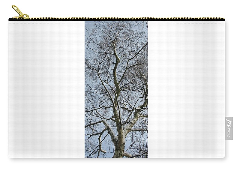 Tree Zip Pouch featuring the photograph Winter Snow on the Silver Birch Tree by Tom Conway