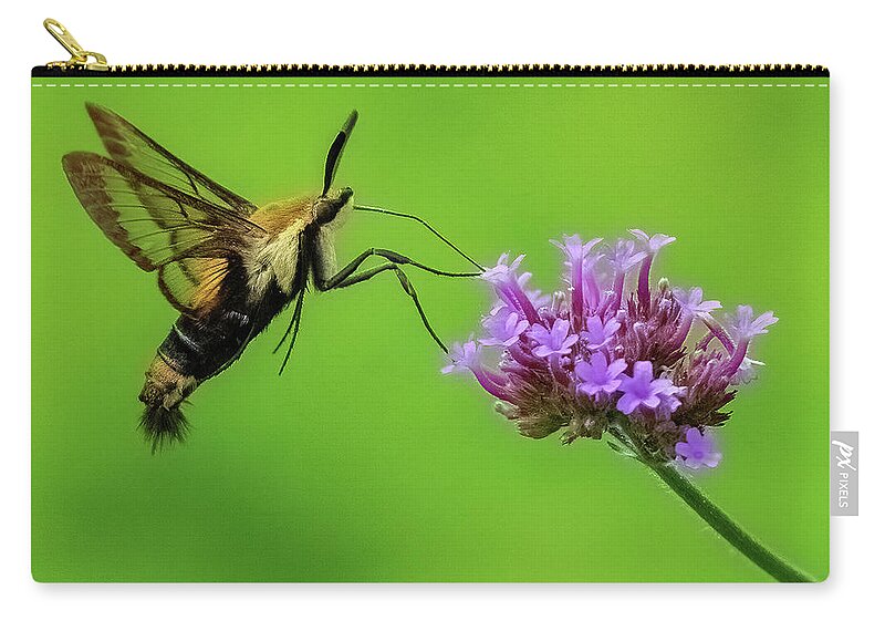 Hummingbird Moth Zip Pouch featuring the photograph Snowberry Hummingbird Moth by William Jobes
