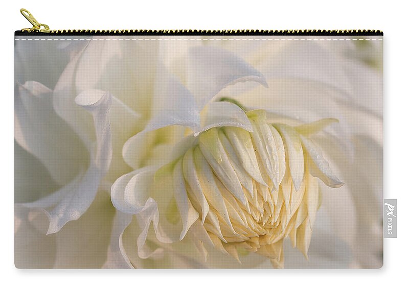 Gardens Zip Pouch featuring the photograph Snowbound Dahlia at Sunrise by Teresa Wilson