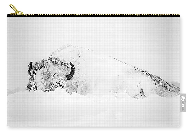 Snow Zip Pouch featuring the photograph Snowy Buffalo by D Robert Franz