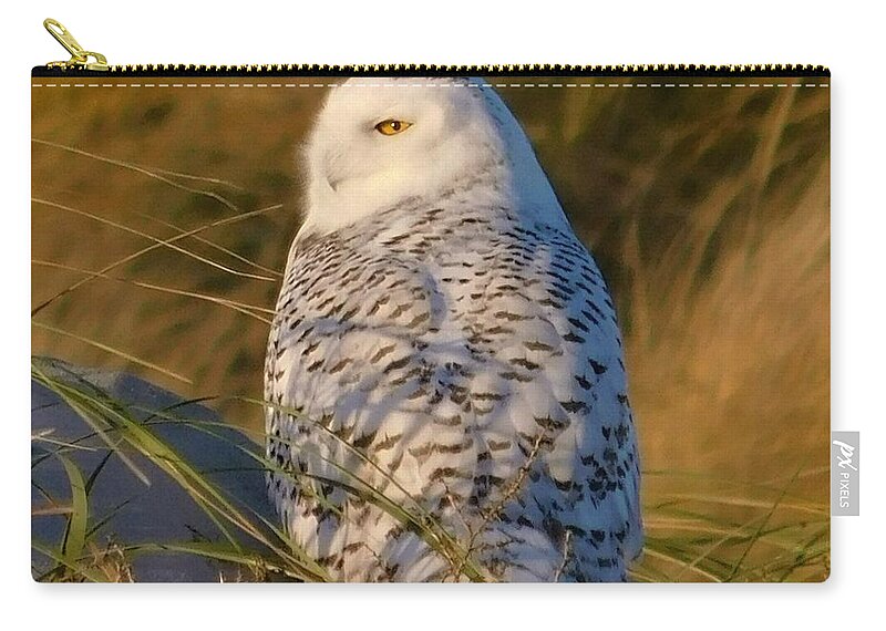 - Snowy Owl 2 Zip Pouch featuring the photograph - Snowy Owl 2 by THERESA Nye