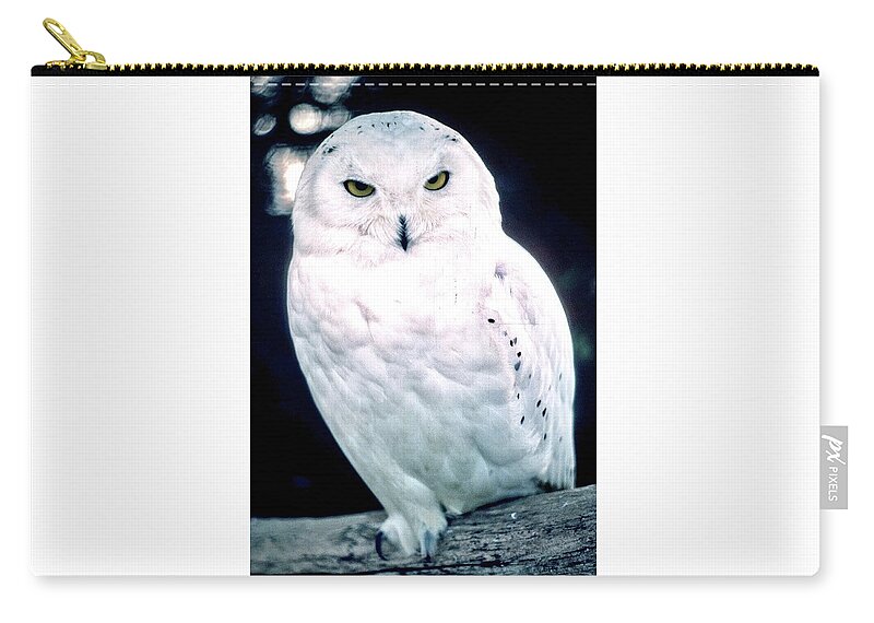 Snowy Zip Pouch featuring the photograph Snowy Owl by Gordon James