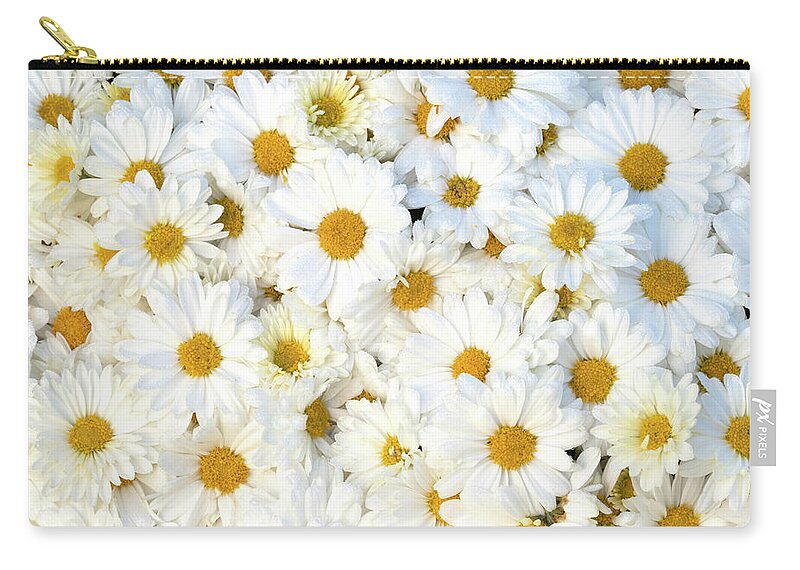 So Many Daisies Zip Pouch featuring the photograph So Many Daisies by Patty Colabuono