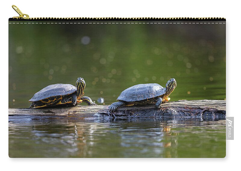 Turtles Zip Pouch featuring the photograph Soaking Up The Sun by Bill Cubitt