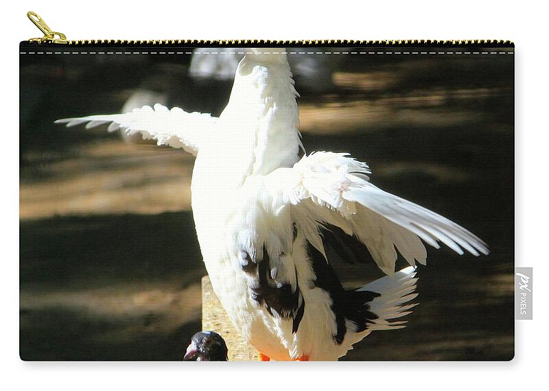  Zip Pouch featuring the photograph Soaking up the Sun by Dorsey Northrup