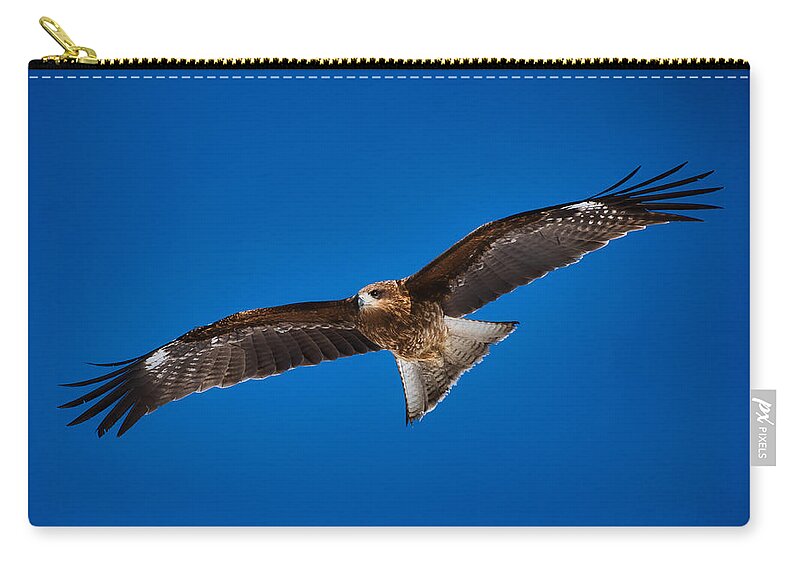 Japan Zip Pouch featuring the photograph Soaring Kite - Japan by Stuart Litoff