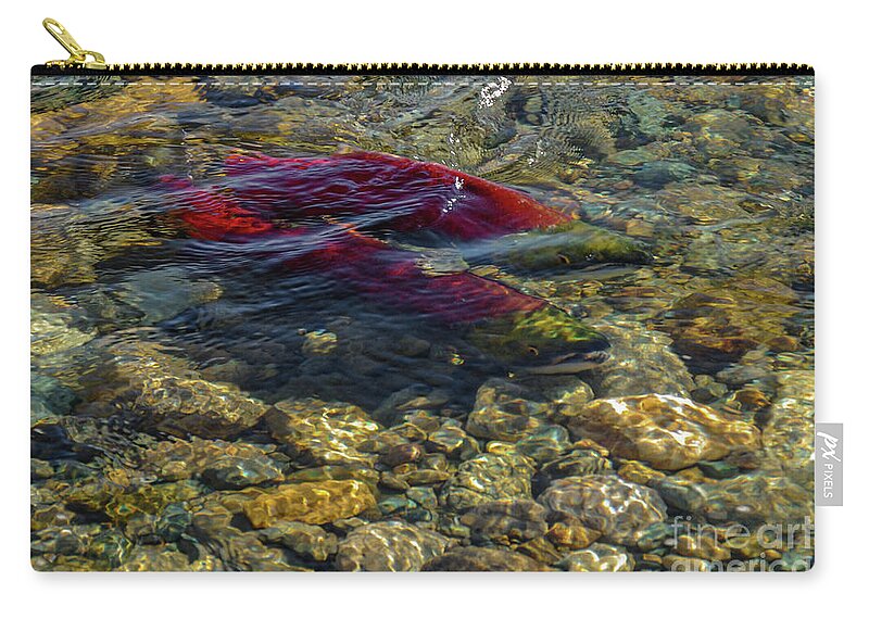 Adams River Zip Pouch featuring the photograph Sockeye Pair #2 by Nancy Gleason