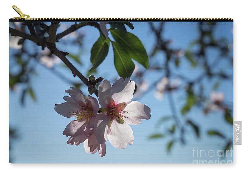Almond Blossom Zip Pouch featuring the photograph Soft pink petals and almond blossom in Spain by Adriana Mueller