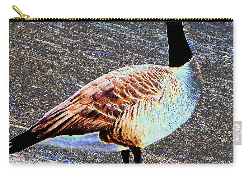 Bird Zip Pouch featuring the photograph Solar Canada Goose by Andrew Lawrence