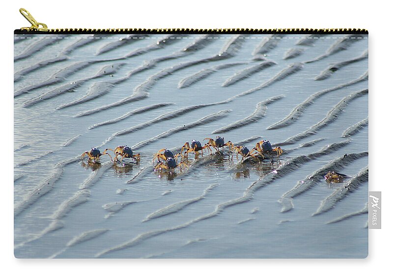 Animals Zip Pouch featuring the photograph Soldier Crabs Marching on Mud Flats by Maryse Jansen