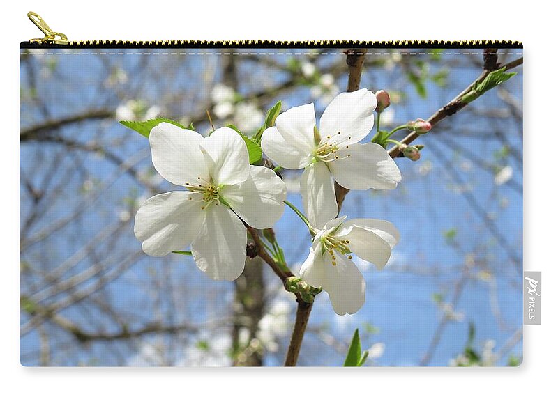Blossoms Zip Pouch featuring the photograph Some Macon Cherry Blossoms by Ed Williams