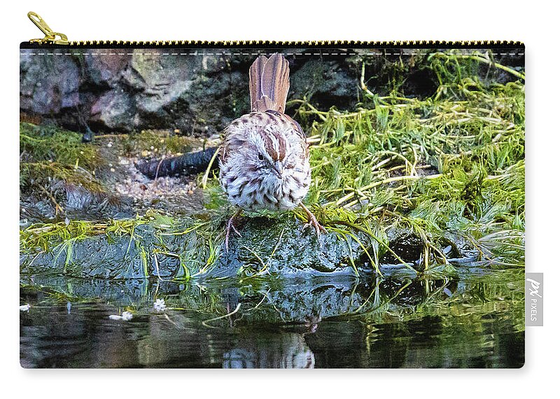 Song Sparrows Zip Pouch featuring the photograph Song Sparrow in Eleven Mile Canyon by Steven Krull