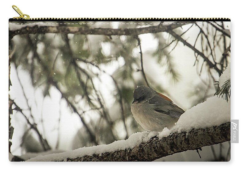 Wildlife Zip Pouch featuring the photograph Songbird in Winter by Laura Putman