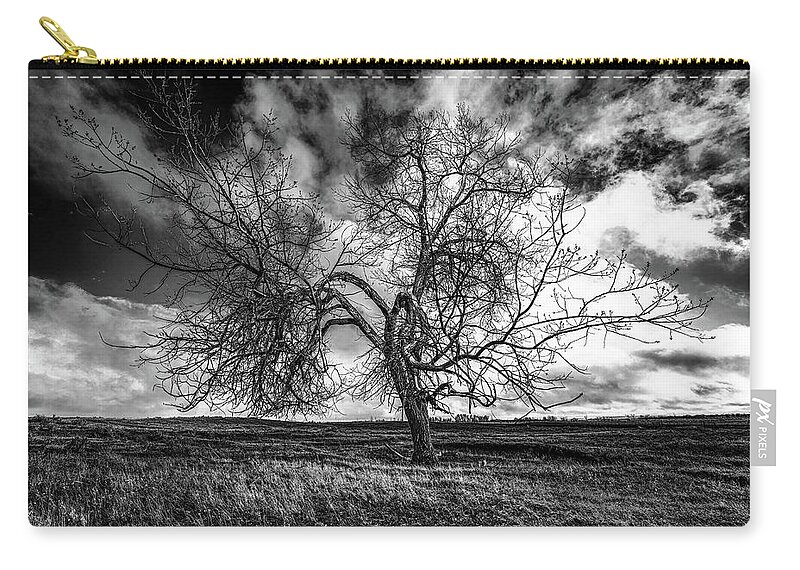 Tree Carry-all Pouch featuring the photograph South Monochrome by Darcy Dietrich