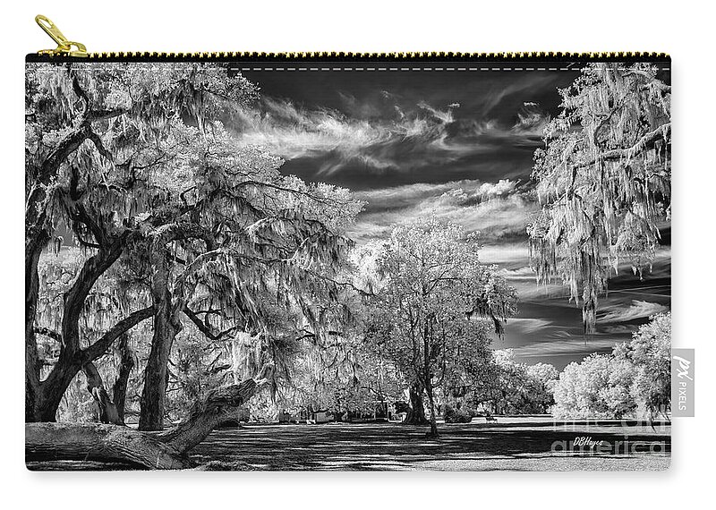 Black & White Zip Pouch featuring the photograph Southern Charm by DBHayes by DB Hayes