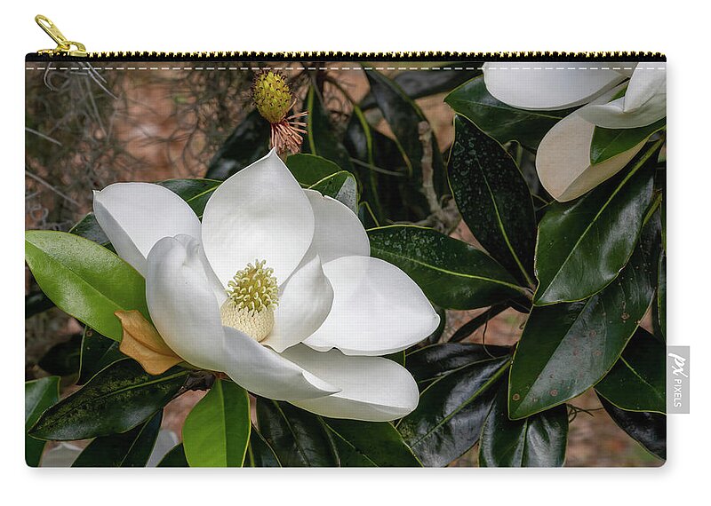 Southern Magnolia Carry-all Pouch featuring the photograph Southern Magnolia Flower by Bradford Martin