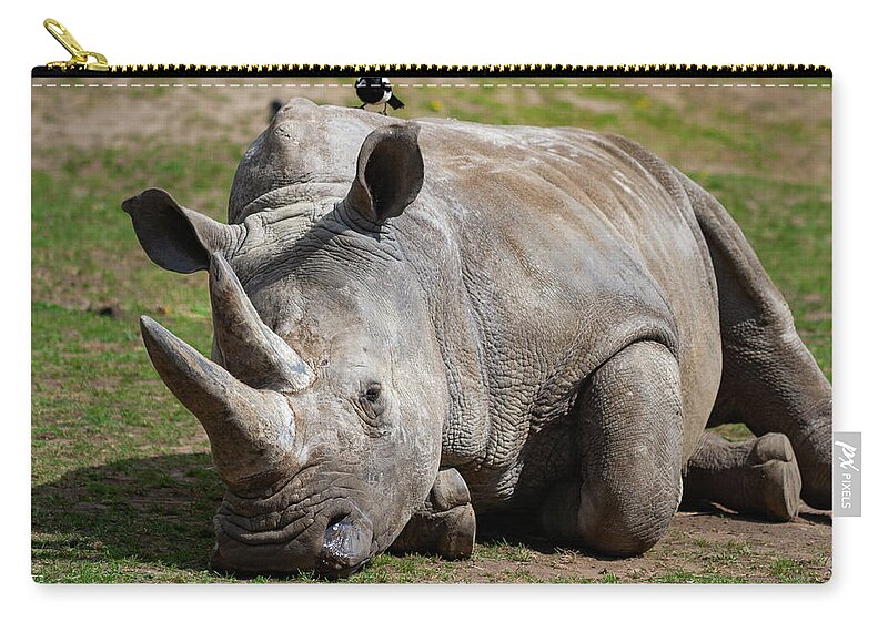 Southern Zip Pouch featuring the photograph Southern White Rhinoceros by Artur Bogacki