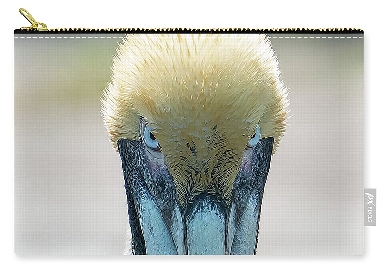 Bird Zip Pouch featuring the photograph Spellbound by Todd Tucker