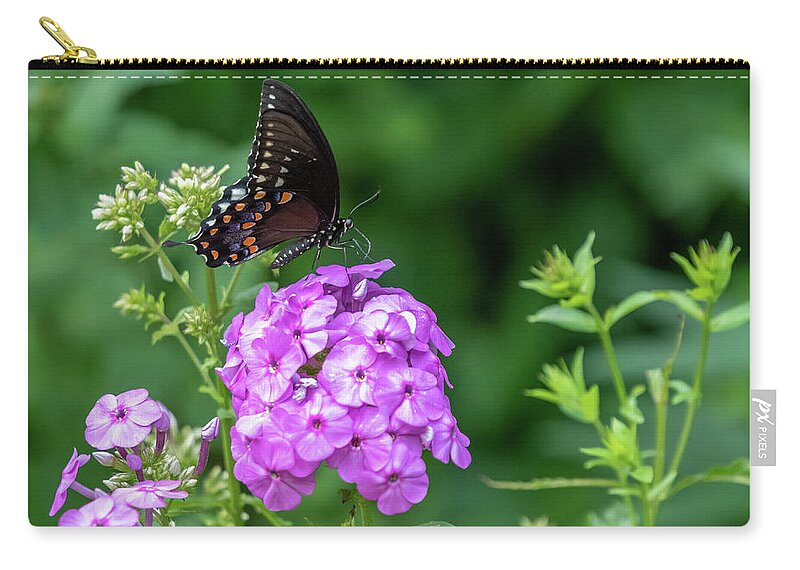 Lenoir Preserve Carry-all Pouch featuring the photograph Spicebush Swallowtail by Kevin Suttlehan