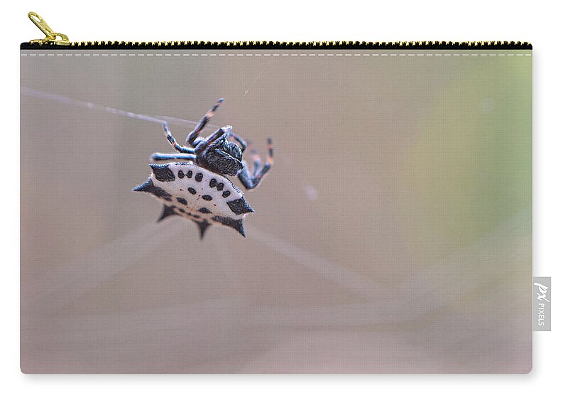 Spider Carry-all Pouch featuring the photograph Spider Macro by Karen Rispin