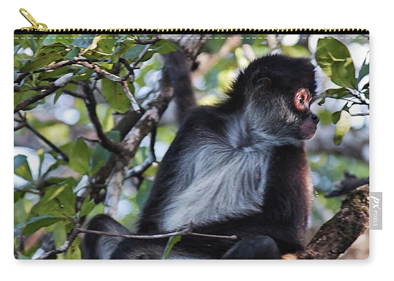 Belize Zip Pouch featuring the photograph Spider Monkey, Belize jungle by Tatiana Travelways