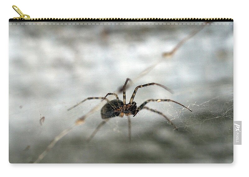 Spider Zip Pouch featuring the painting Spider on its web by Sv Bell